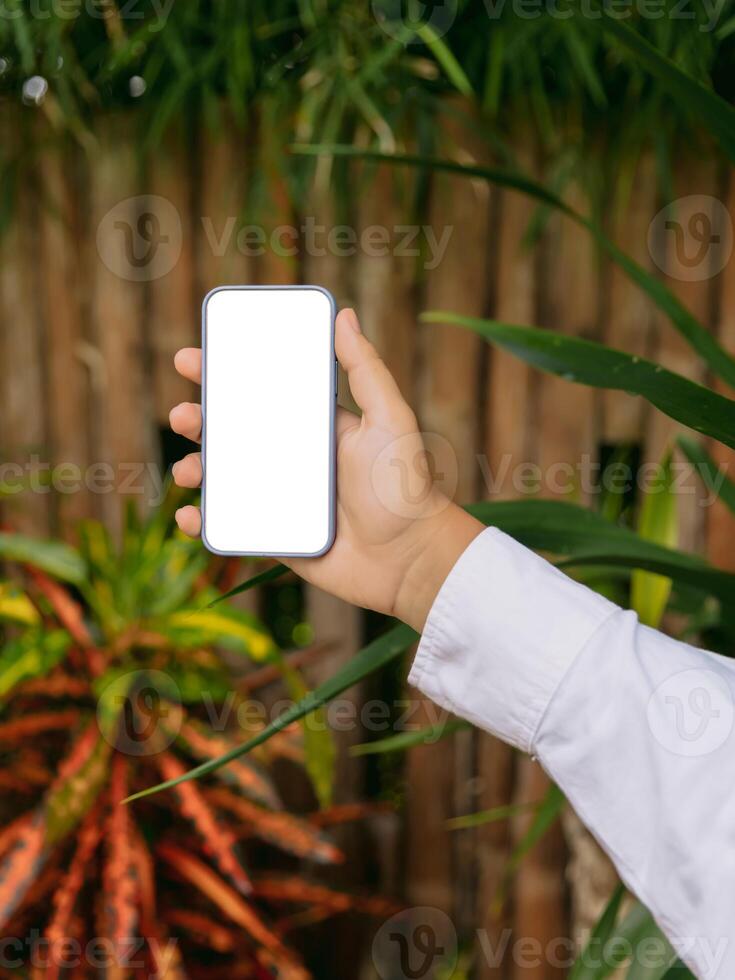 Hand hold smartphone with white screen on tropical background. Mockup for mobile app or website design. photo