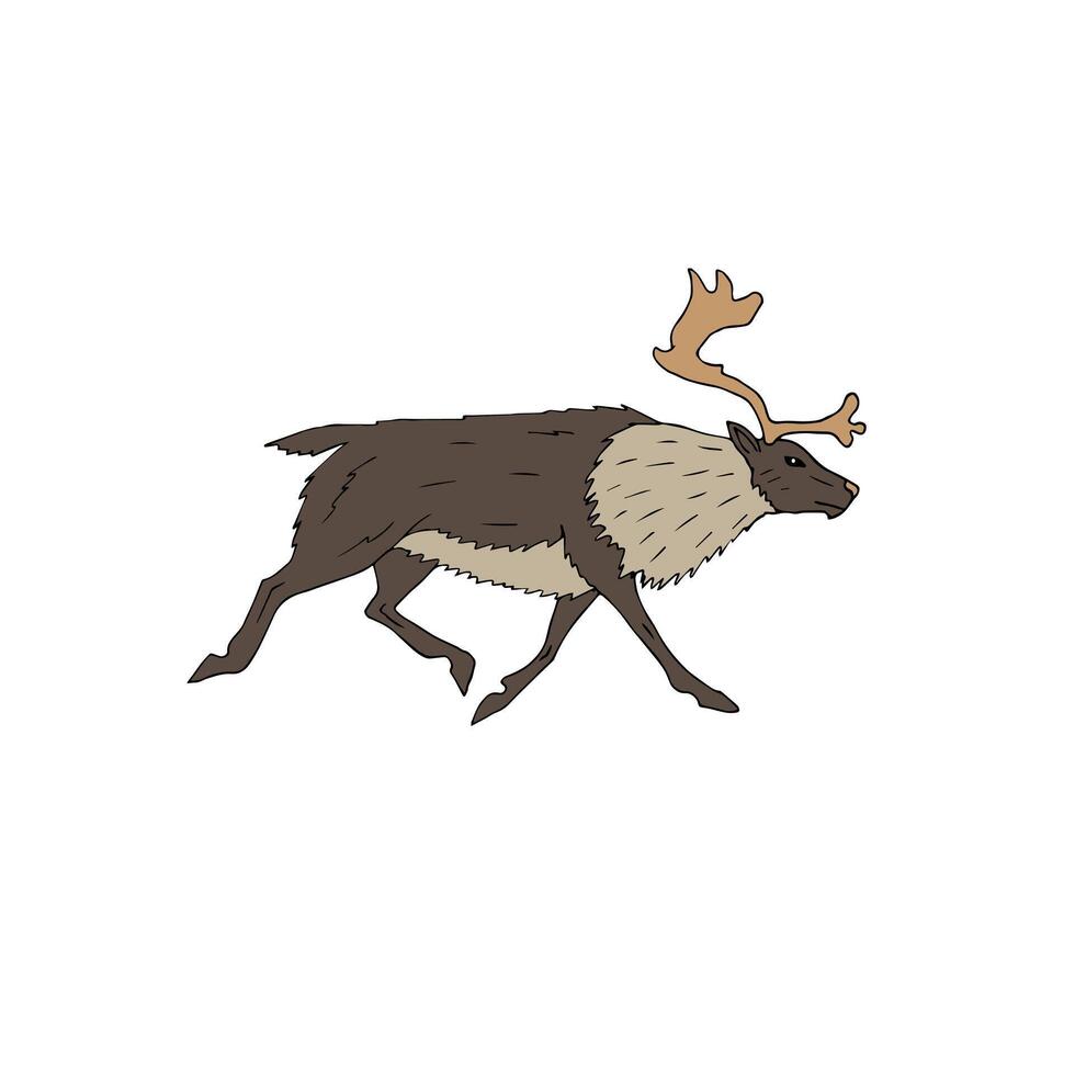 Hand drawn doodle sketch reindeer vector