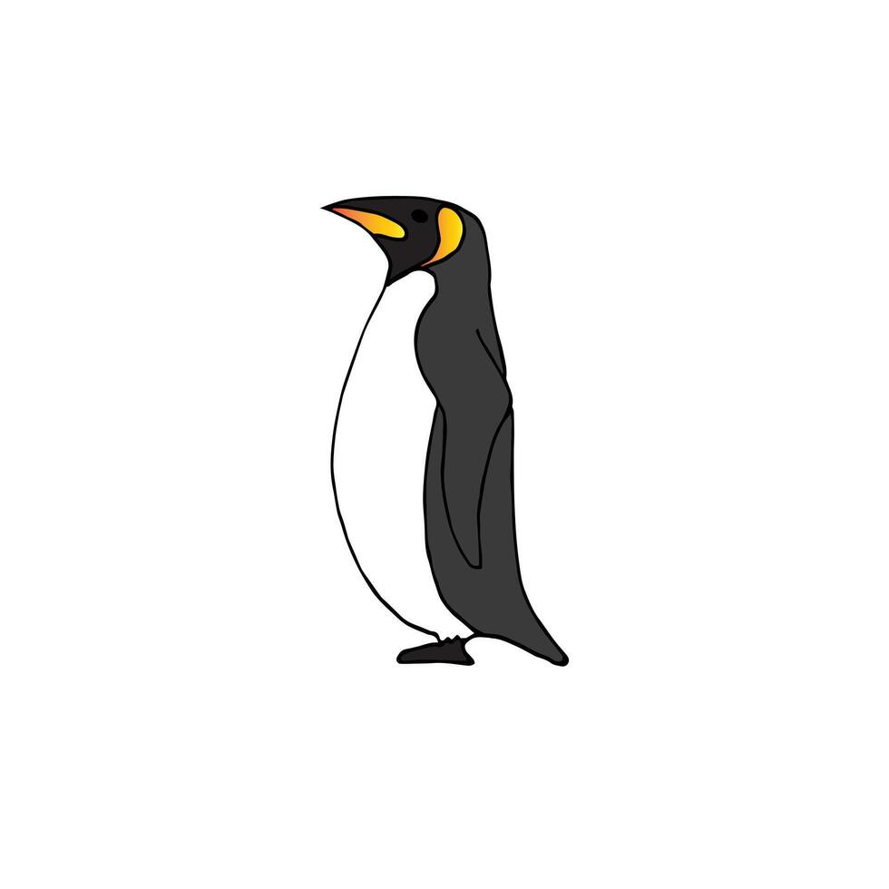 Hand drawn doodle sketch penguin isolated on white vector