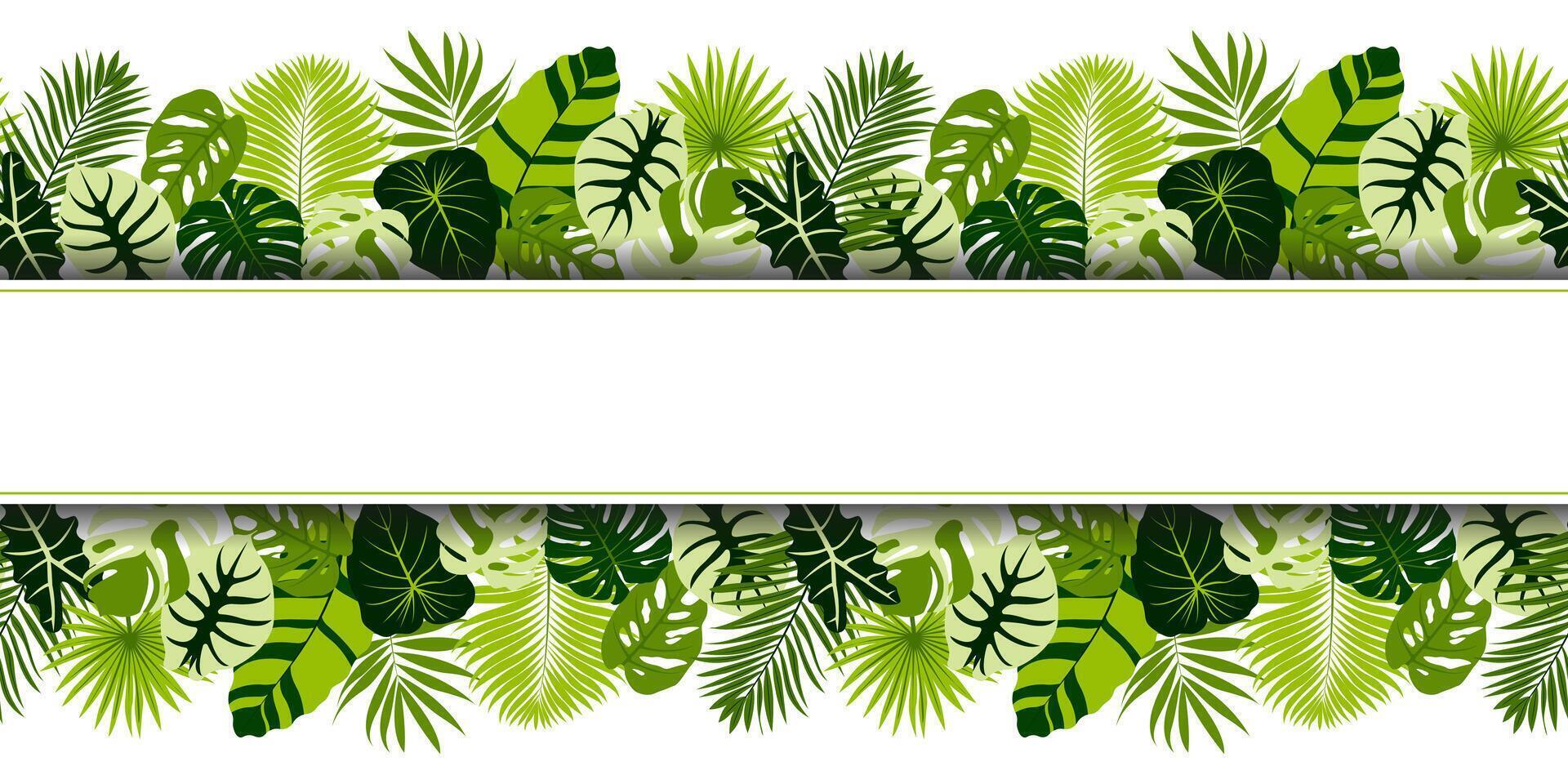 Tropical Foliage. Banner design with space for text. Greeting card, invitation or banner template with exotic leaves. illustration vector