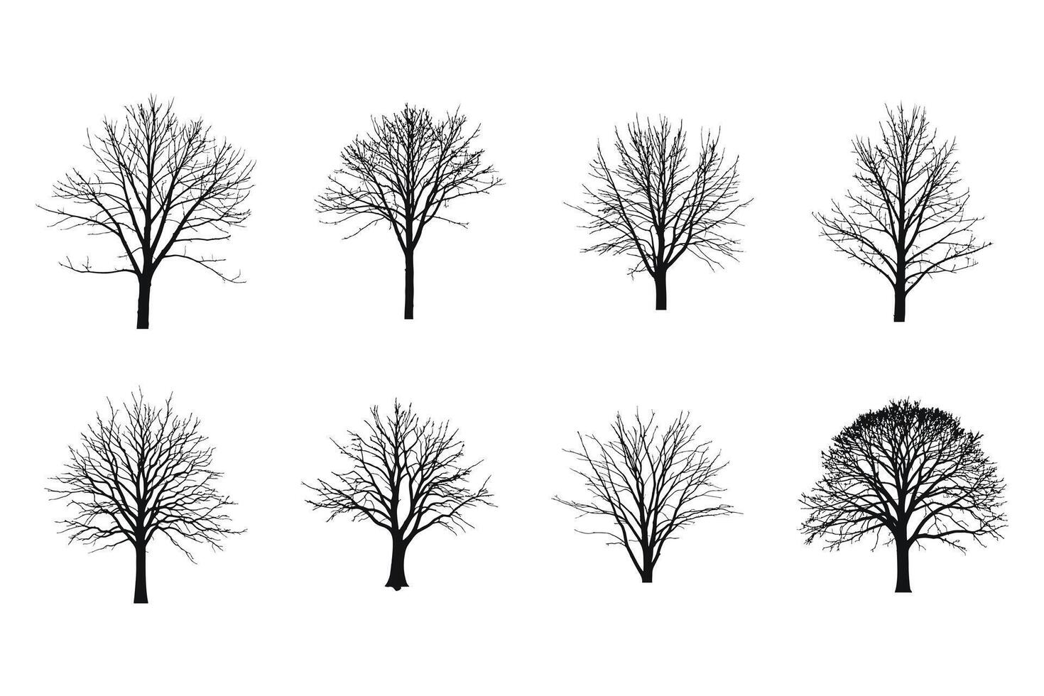 A set of different trees with no leaves vector