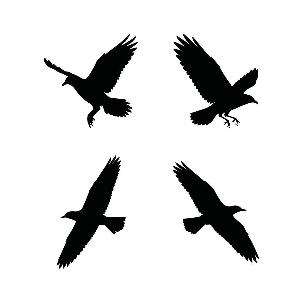 Four black silhouettes of birds flying in the air vector