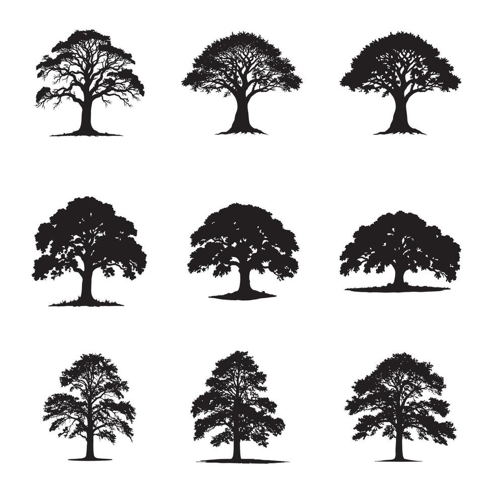 Diverse oak tree silhouettes isolated on white background, showcasing varied shapes vector