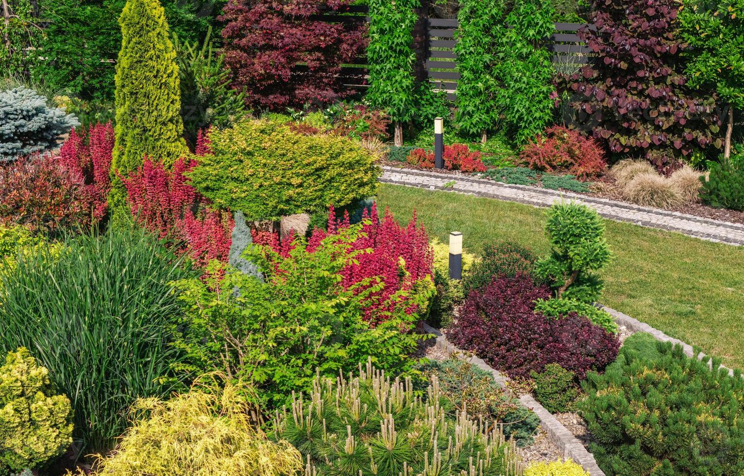 Vibrant Garden Filled With Colorful Plants and Lush Greenery Under Bright Sunlight photo