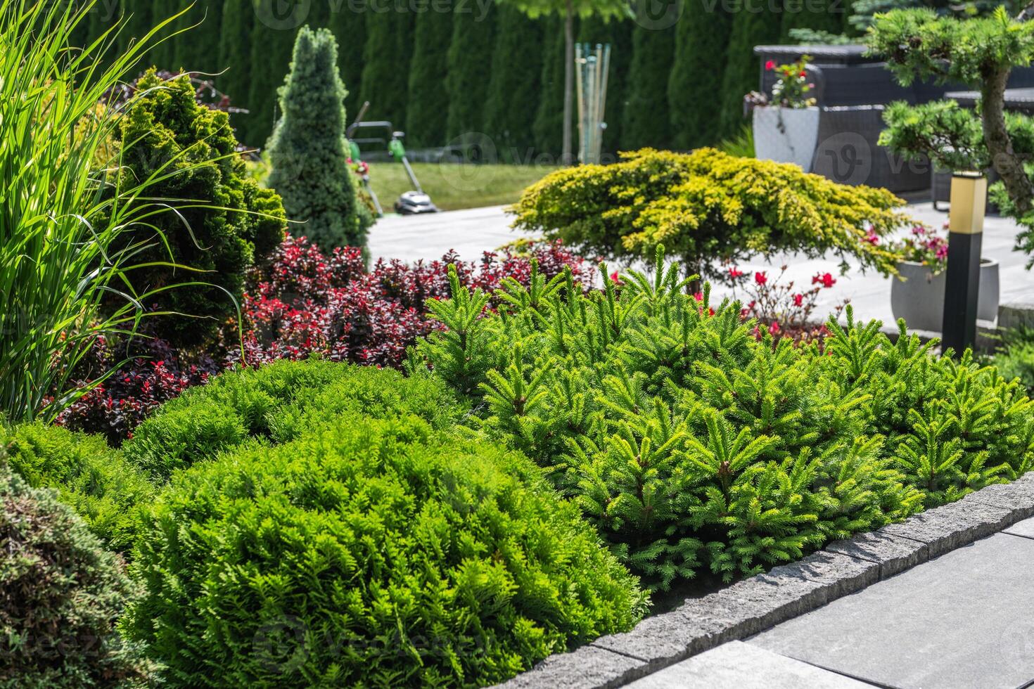 Lush Garden Landscape Featuring Vibrant Shrubs and Manicured Greenery in Bright Sunlight photo