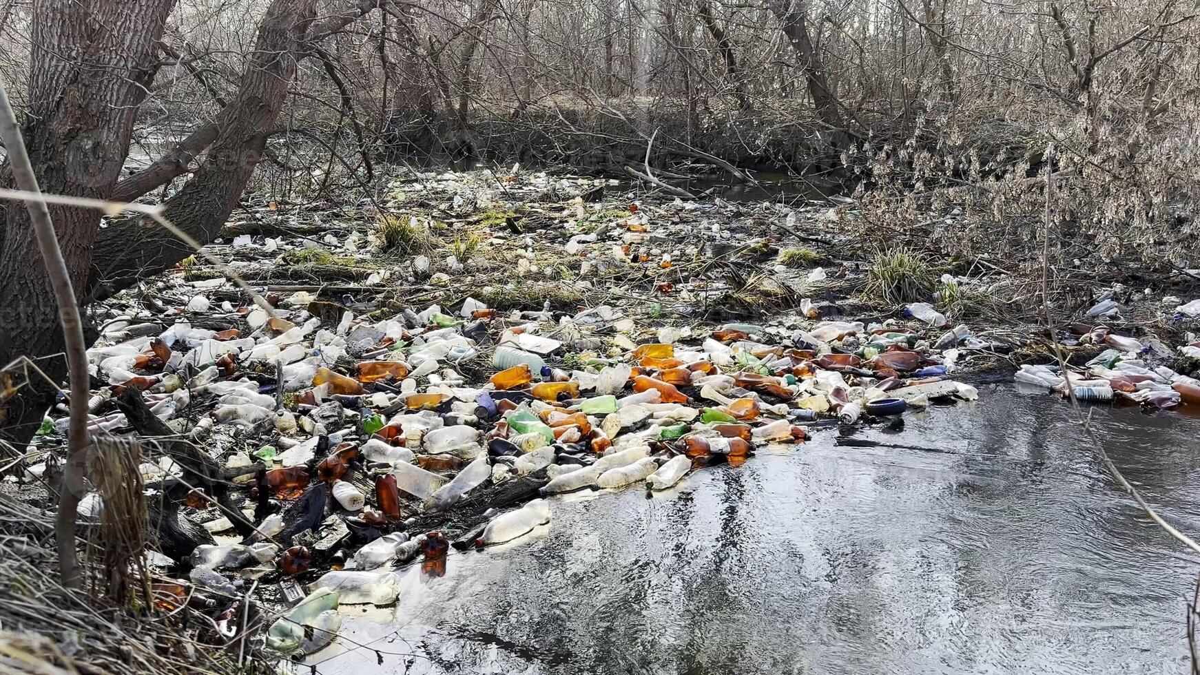 Dirty river polluted with many plastic bottles. A lot of trash is dumped in open and freely available places at nature. Global environmental pollution problem. Concept of ecological disaster photo