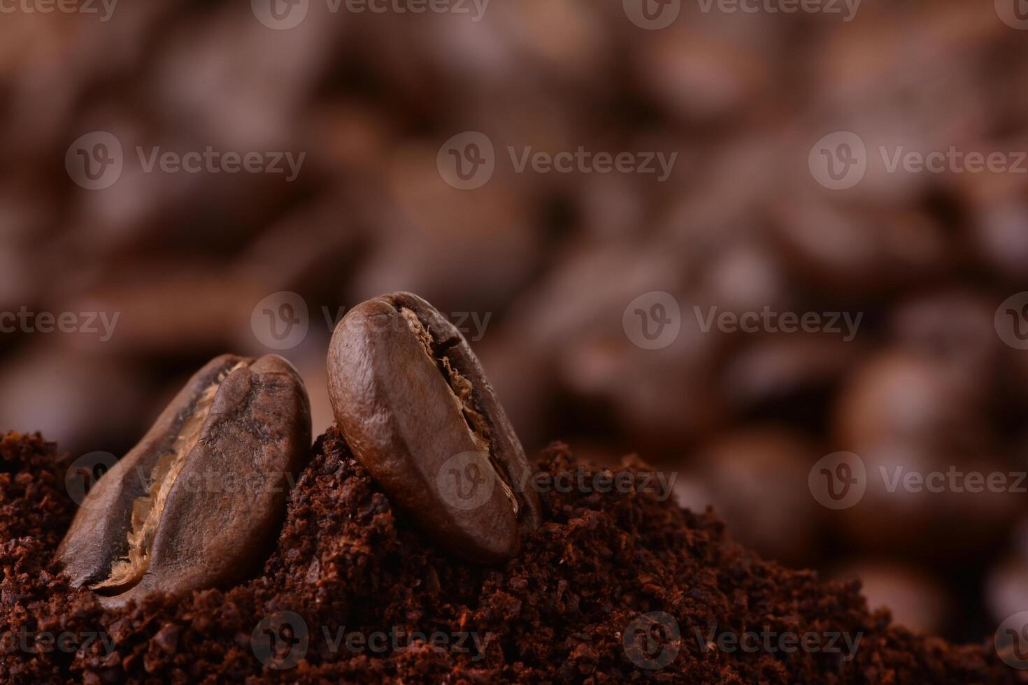 Coffee beans on top of a pile of dirt photo