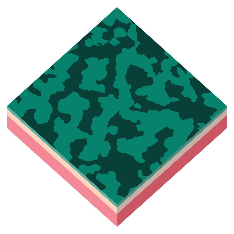 Slice of watermelon in isometric projection. Watermelon peel icon, 3d style background vector