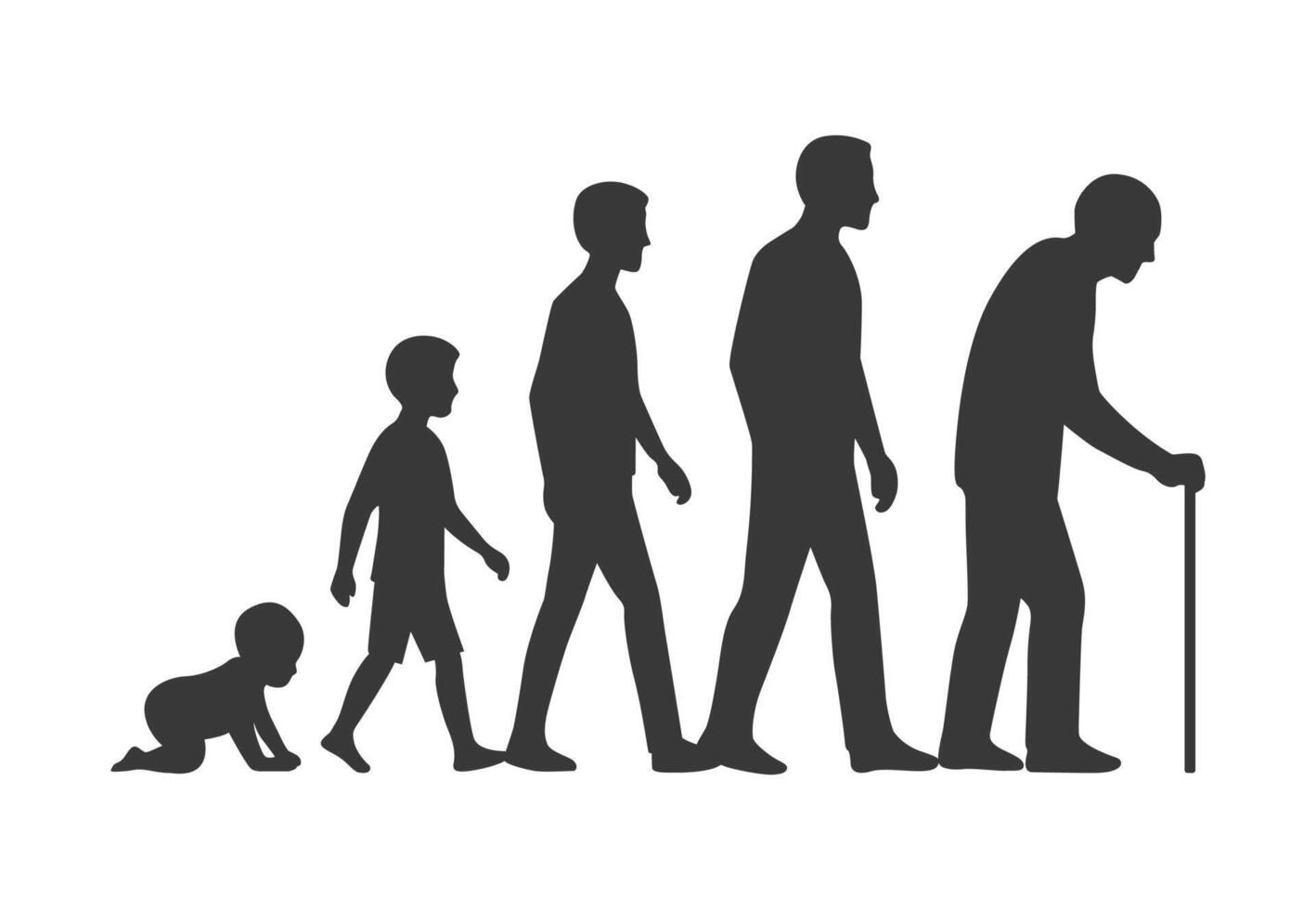 Silhouette illustration showing the stages of human life from baby to old age. A concept of growth, development, and aging, perfect for educational, health, or life journey topics. vector