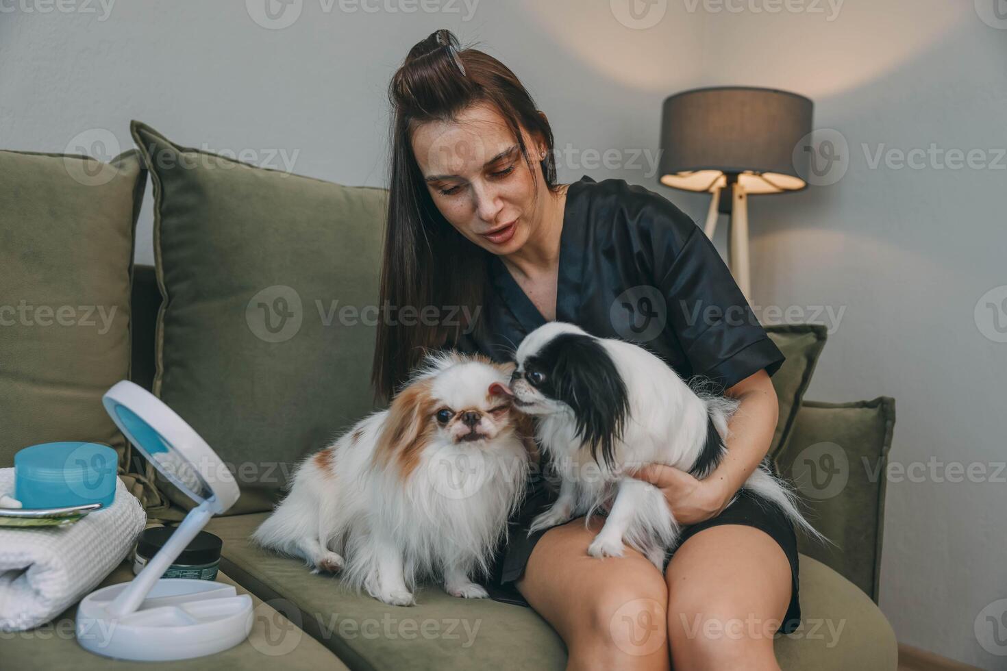 woman holds two japanese chin dogs as one licks other on green sofa in cozy home interior with floor lamp and beauty products, pet care, grooming, animal friends photo