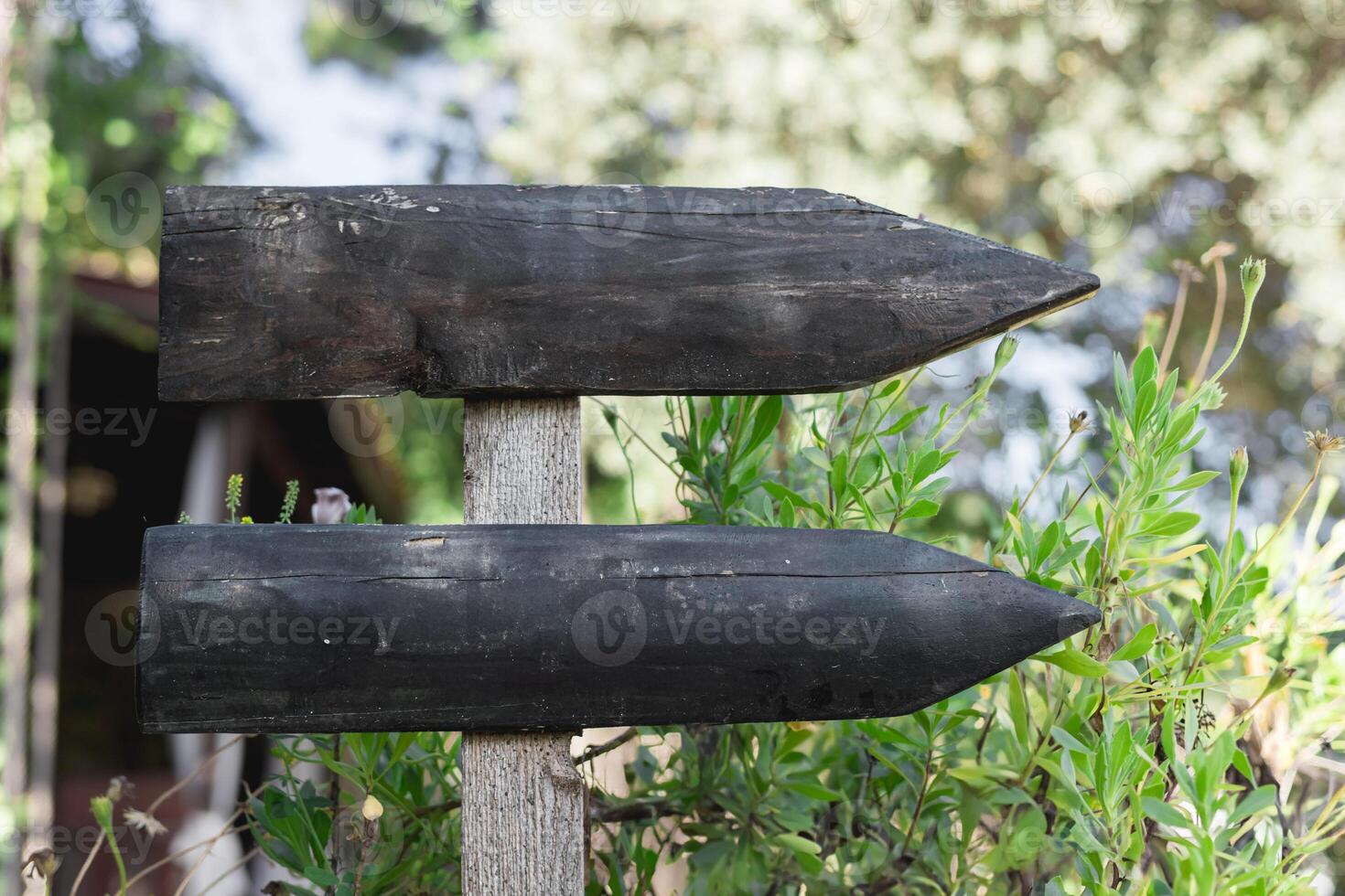 Wooden directional signposts in a garden showing two arrows toward different paths photo