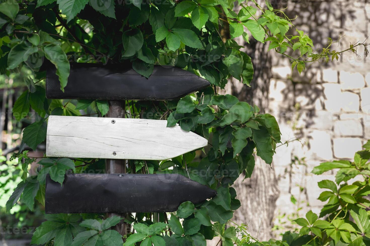 Wooden directional signpost in a garden showing two arrows toward different paths. photo