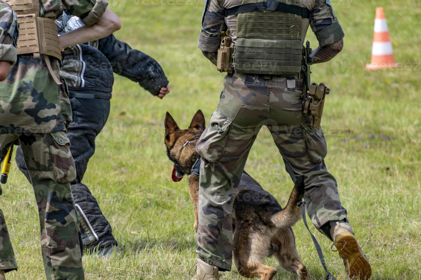 Military dog and military dog trainer, dog team, animal photo
