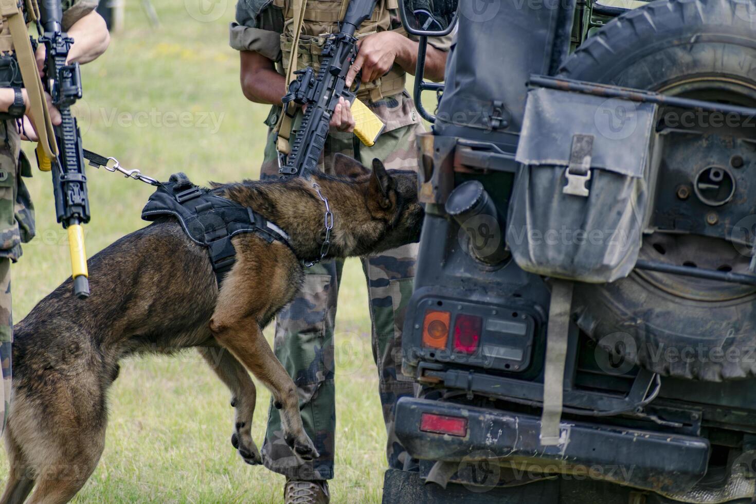 Military dog and military dog trainer, dog team, soldier photo