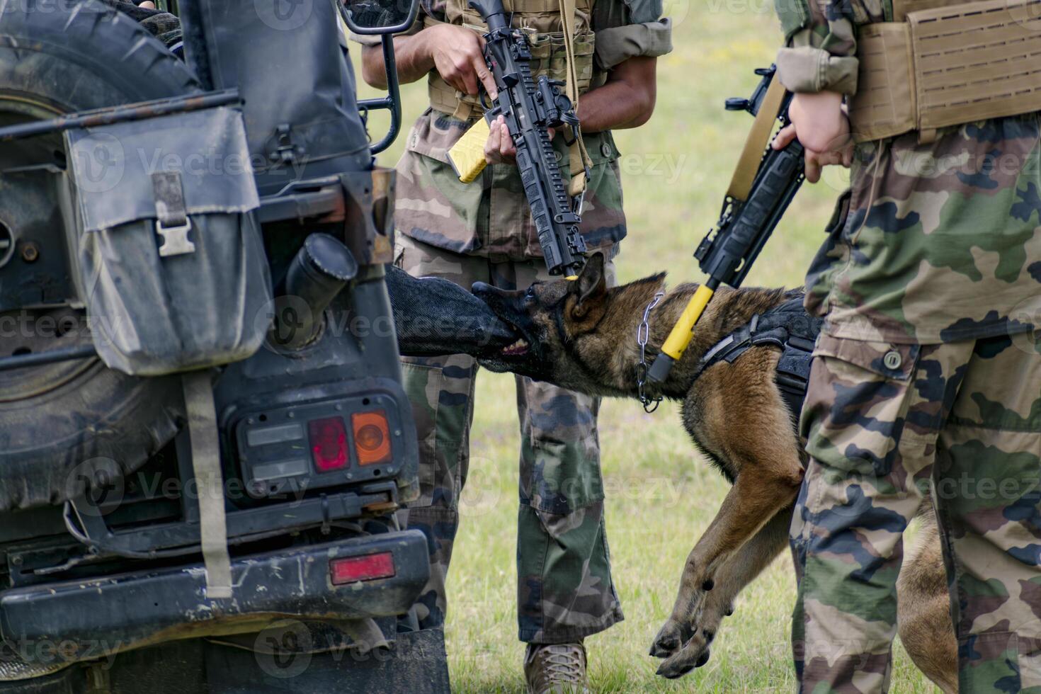 Military dog and military dog trainer, dog team, work photo