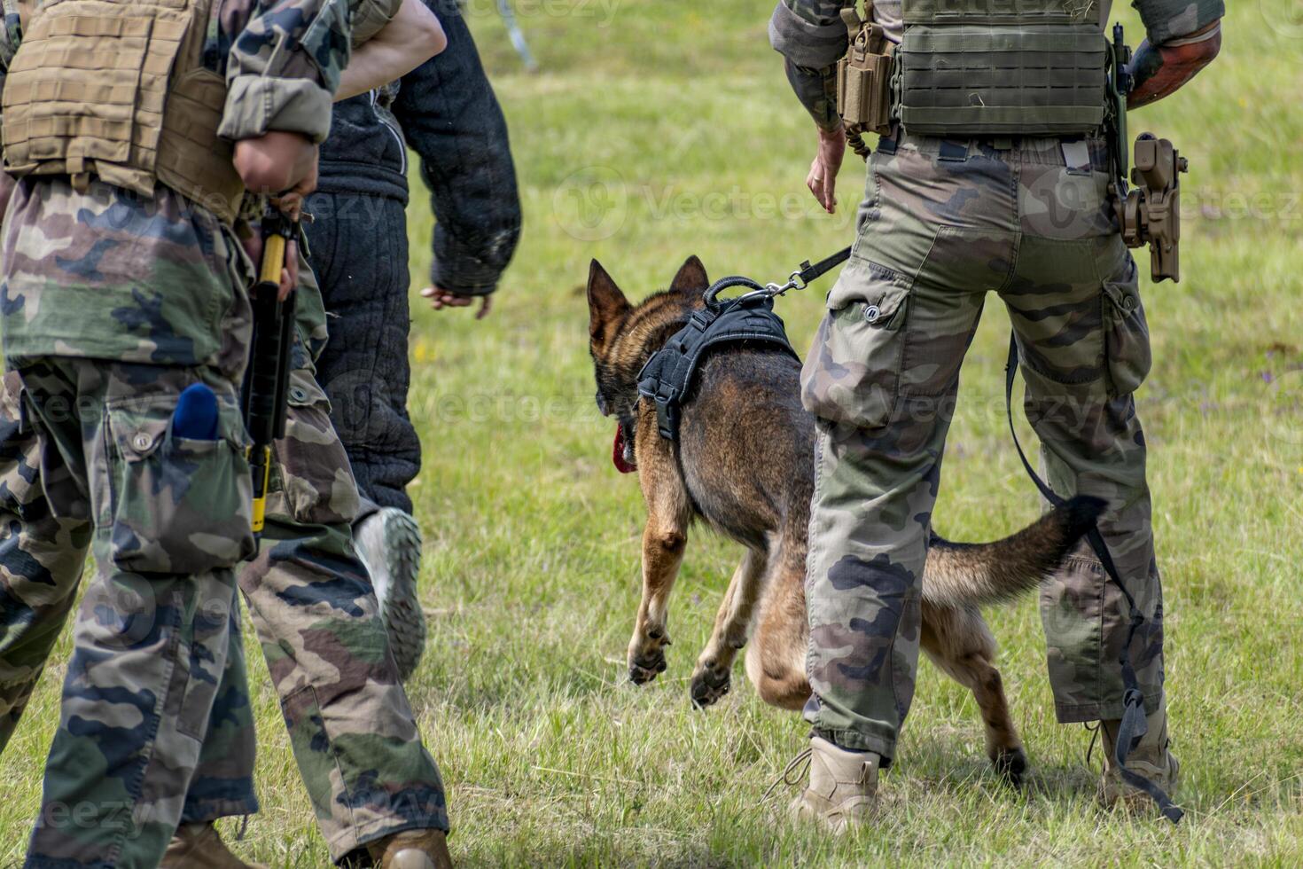 Military dog and military dog trainer, dog team, army photo