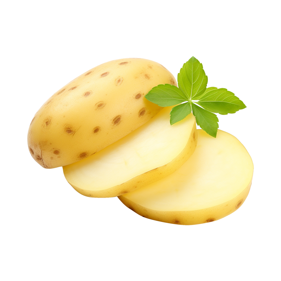 Potato slice for digital use on clear background png