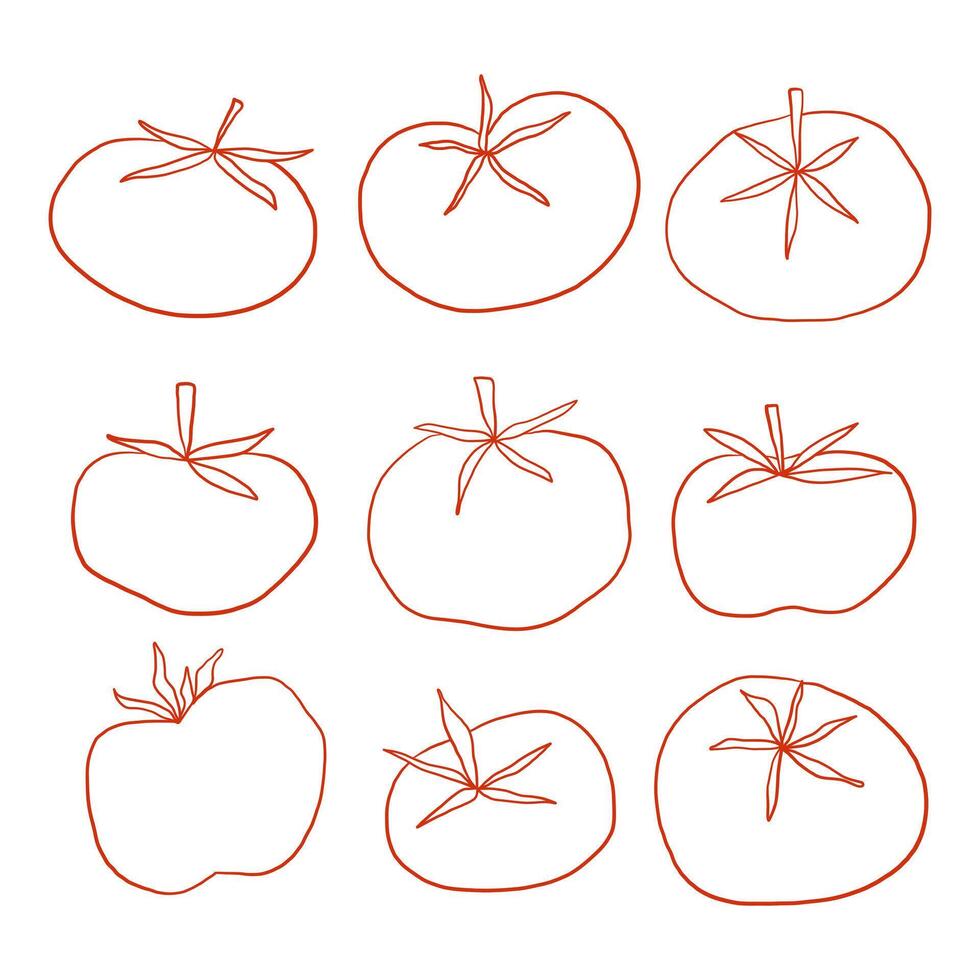 Line Art Tomato Vegetable Element. A minimal collection of tomato illustrations in hand drawn red line art featuring various stem styles and organic shapes. Perfect for food icons farm and packaging vector