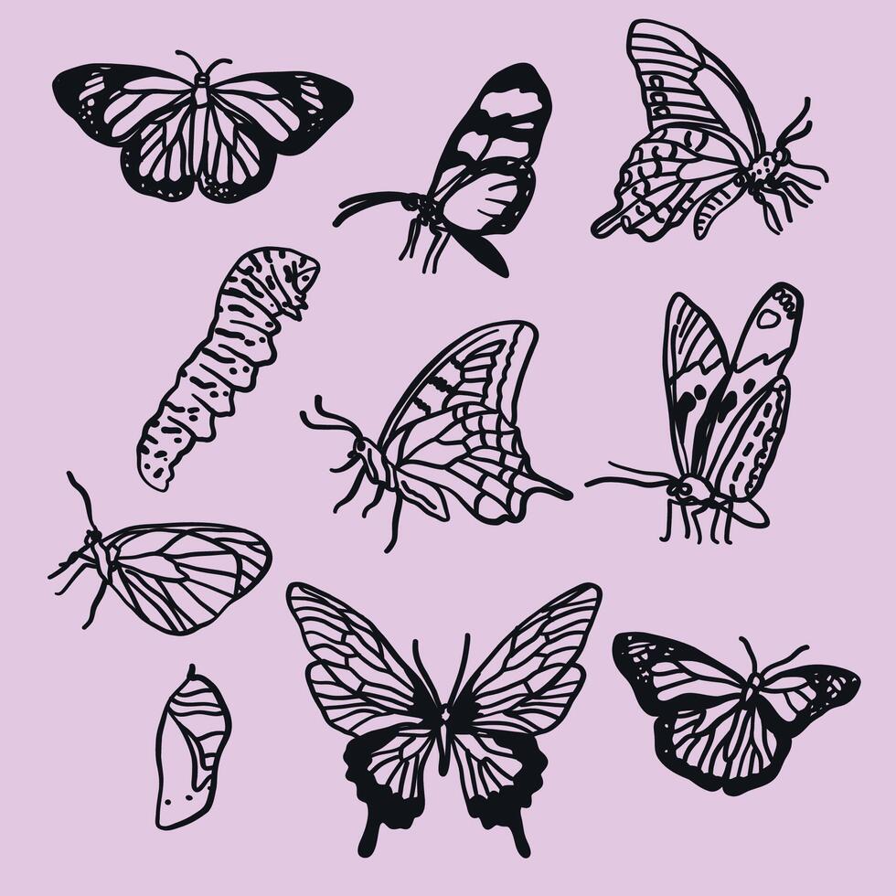 Set of hand-drawn butterfly illustrations in line art style. Delicate, decorative, and versatile design vector