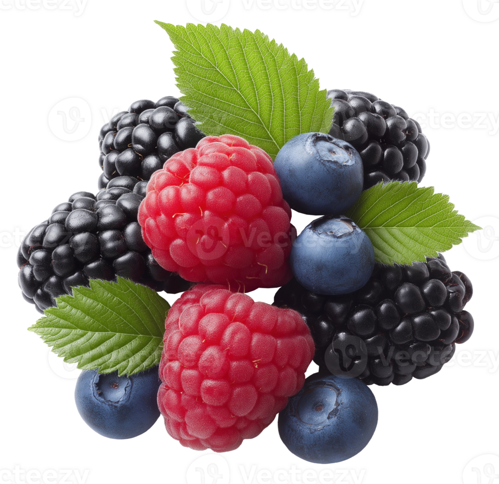 Assorted fresh berries with leaves image isolated transparent. Top view blackberries, raspberries and blueberries cut out . Fruits organic food cutout element object photography png