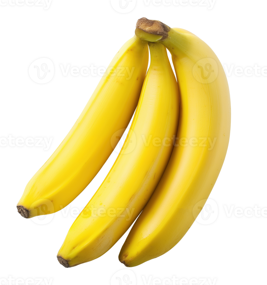 Bunch of three yellow bananas image isolated transparent. Elongated edible tropical fruit berry cut out . Healthy diet food with fresh peel cutout element object photography png