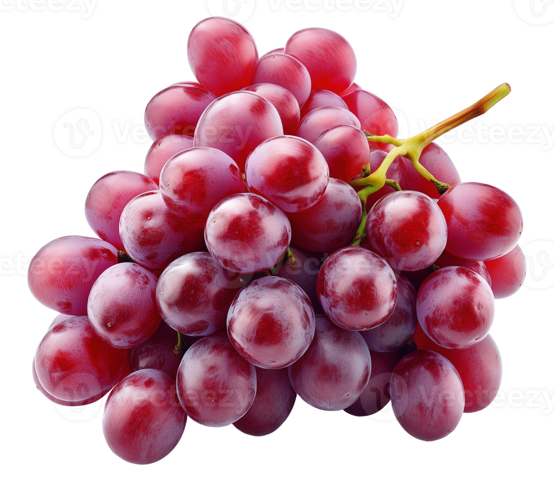 Plump bunch of red seedless grapes image isolated transparent. Vitis vinifera cut out . Harvest viticulture. Nutritious snack. Winegrape cutout element object photography png
