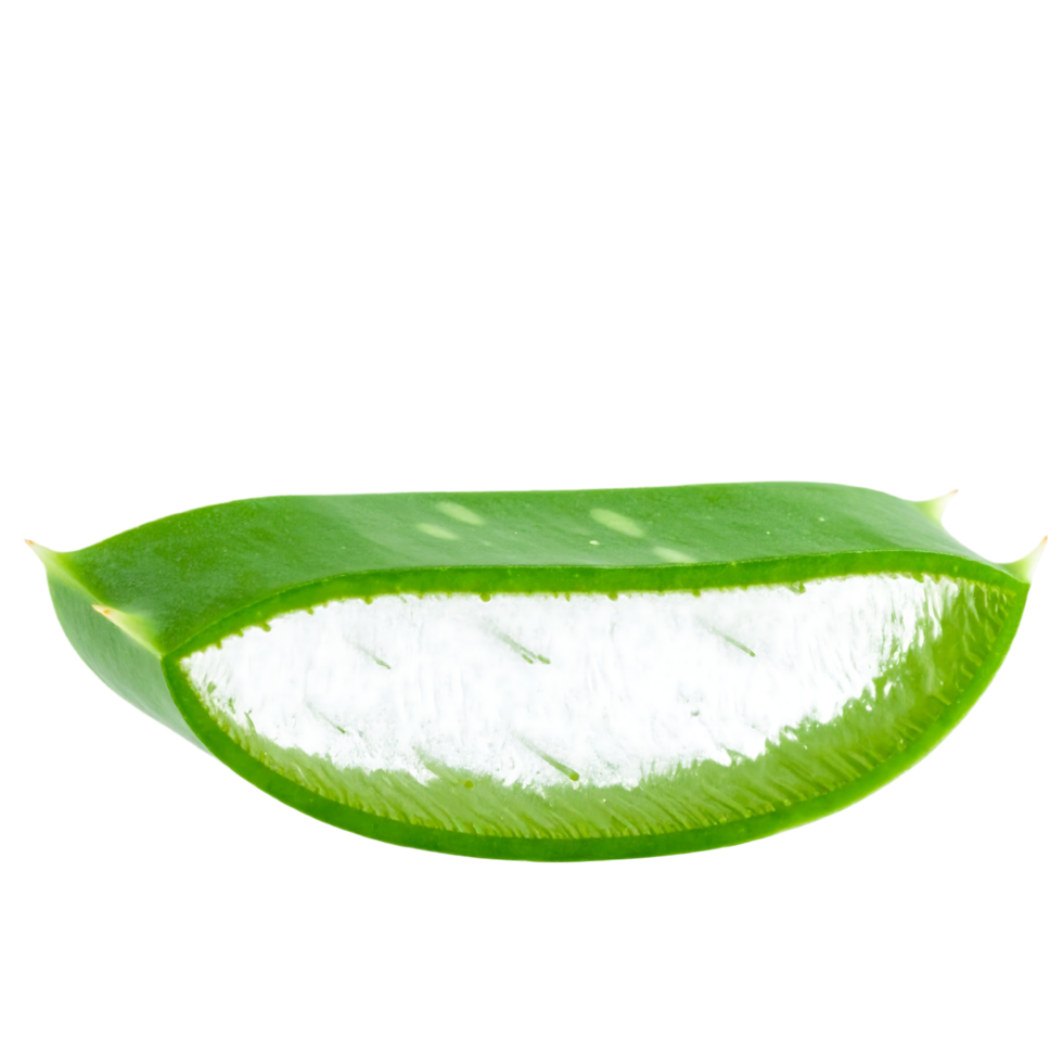 Aloe vera slice png