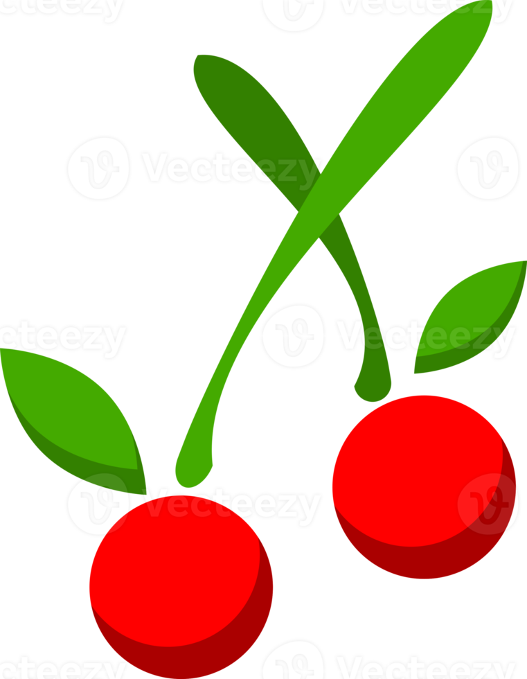 Red cherry fruit icon png