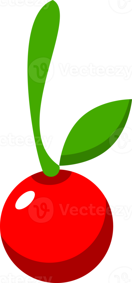 Red cherry fruit png