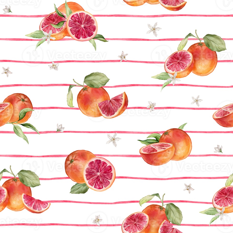 Seamless pattern with watercolor illustration of grapefruit with white flowers on isolated striped background. Hand painted print with grapefruit branch with green leaves. Citrus fruits for textile png