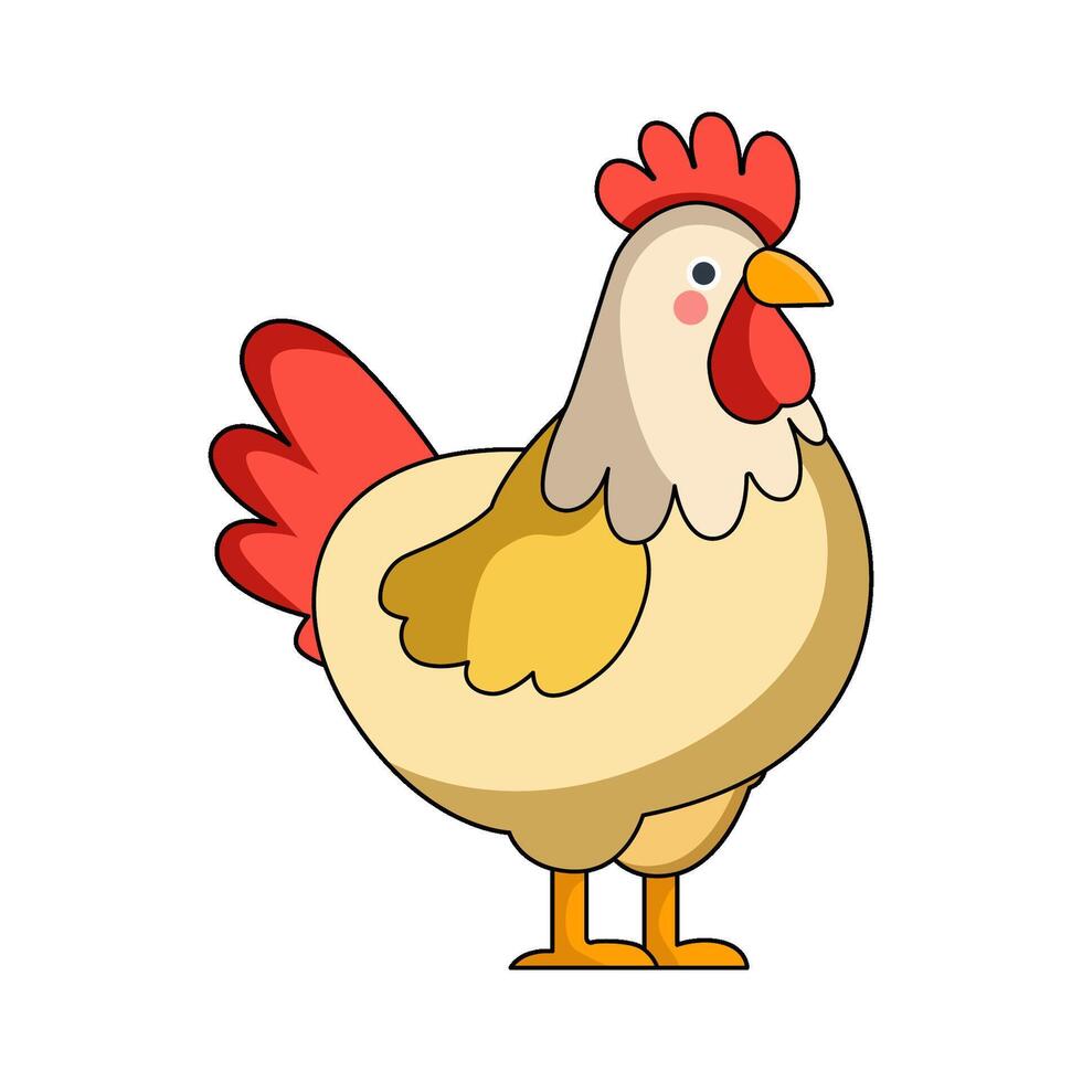 illustration of A Chicken vector