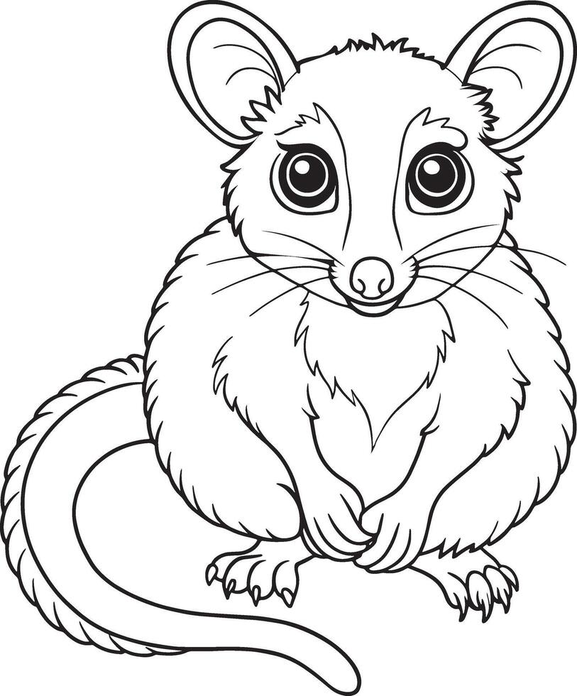 BrushTail Possum Cartoon Coloring Page Printable Cute Animal Illustration vector