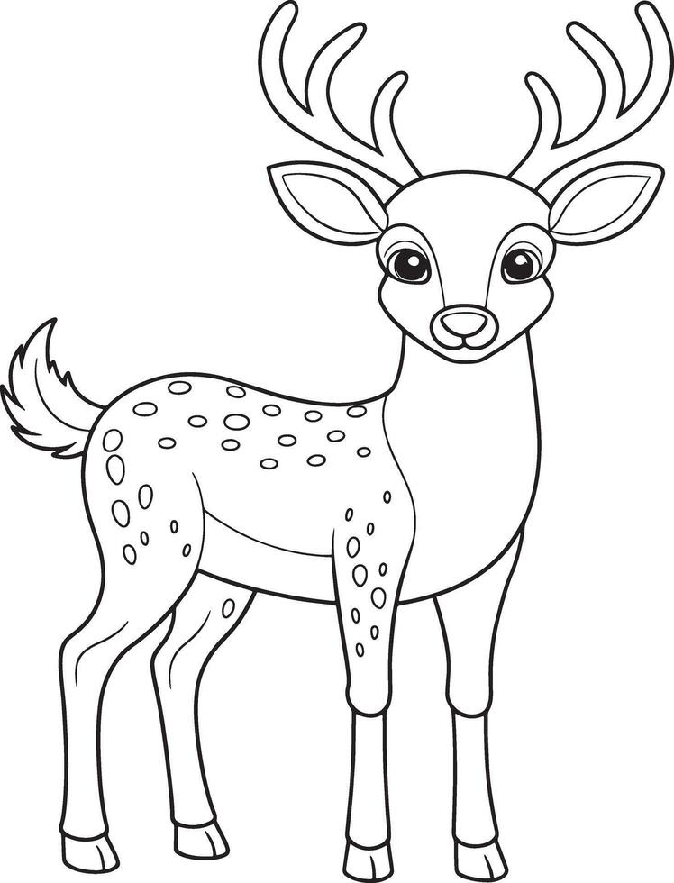 Musk Deer Coloring Page Cute Animal Illustration For Kids vector