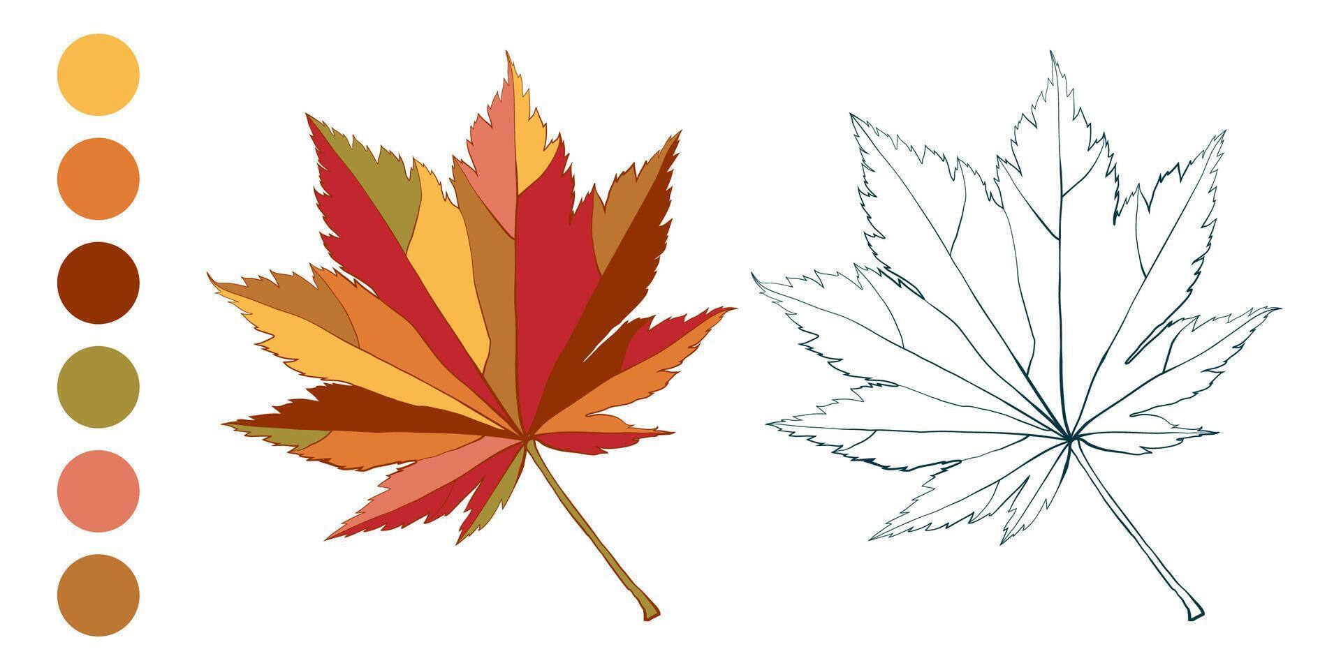Set of hand-drawn fall colored maple autumn leaves isolated on white background. Flat and line styles illustration. vector