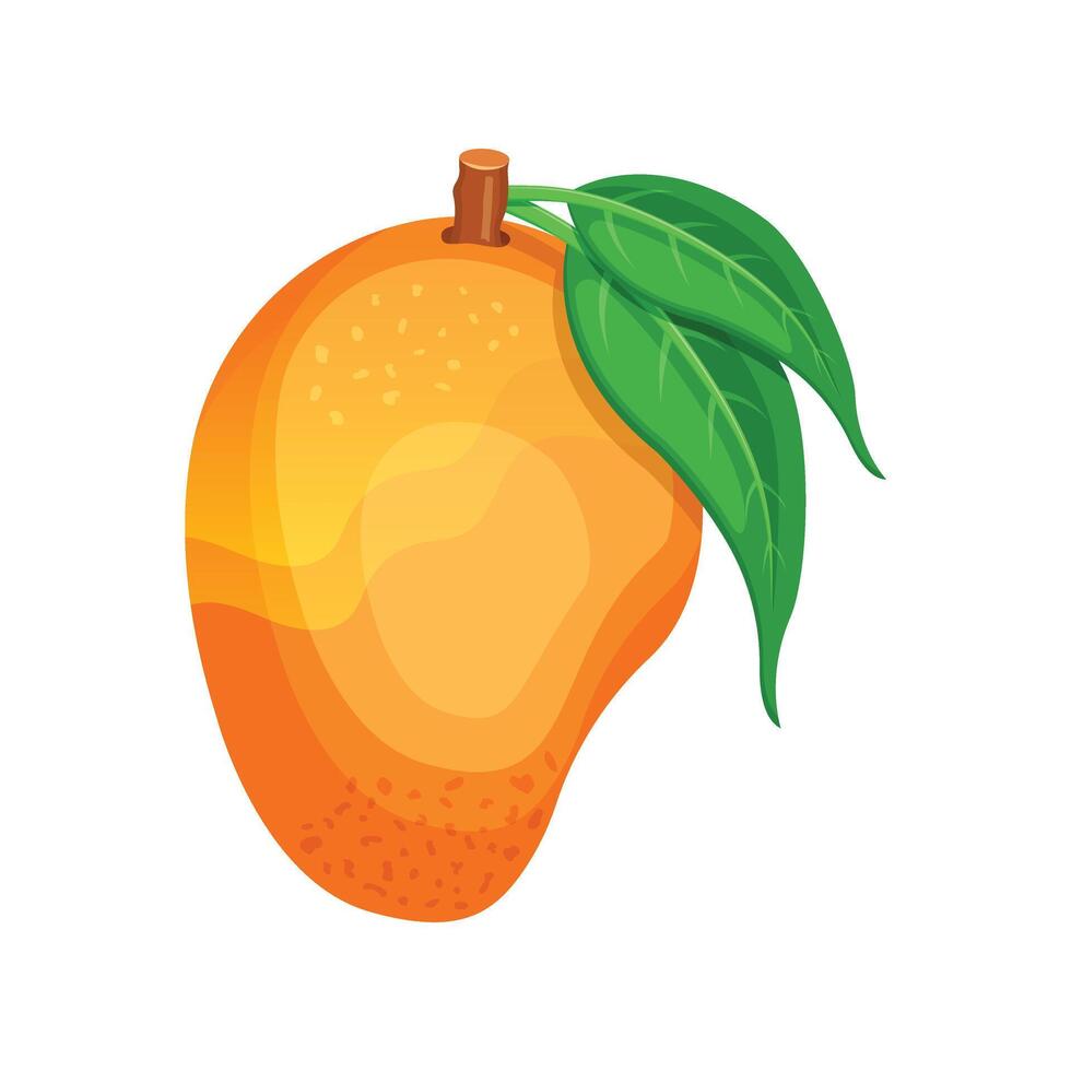 Mango fruit illustration vector