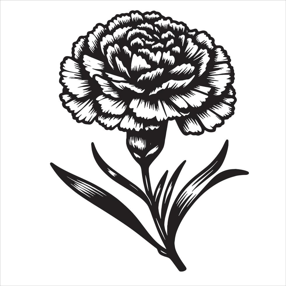 Carnation Flower Emblem vector