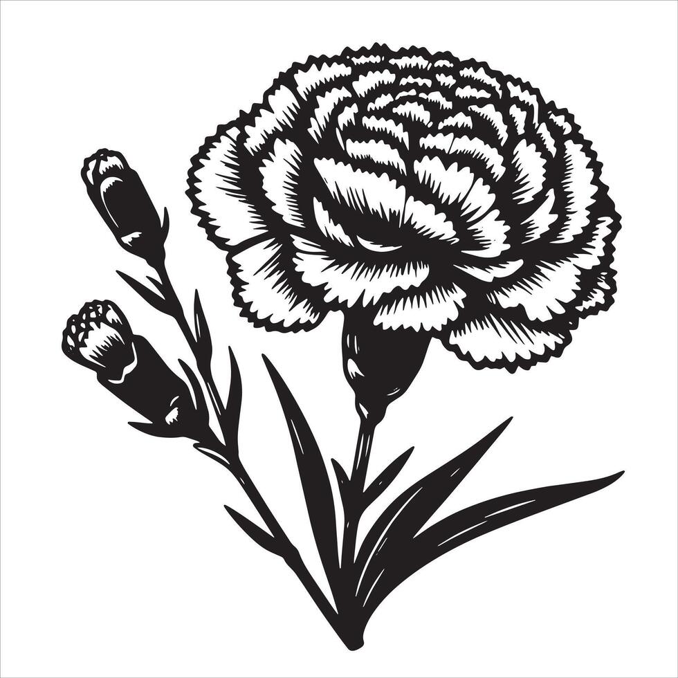 Soft Carnation Colors vector