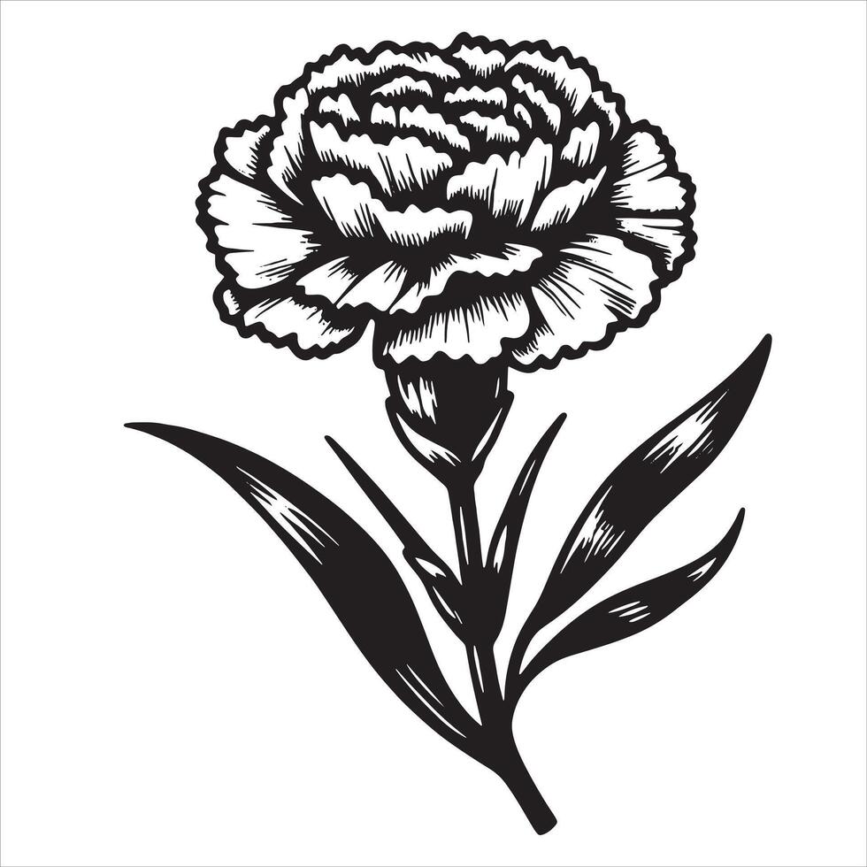 Carnation Line Art vector