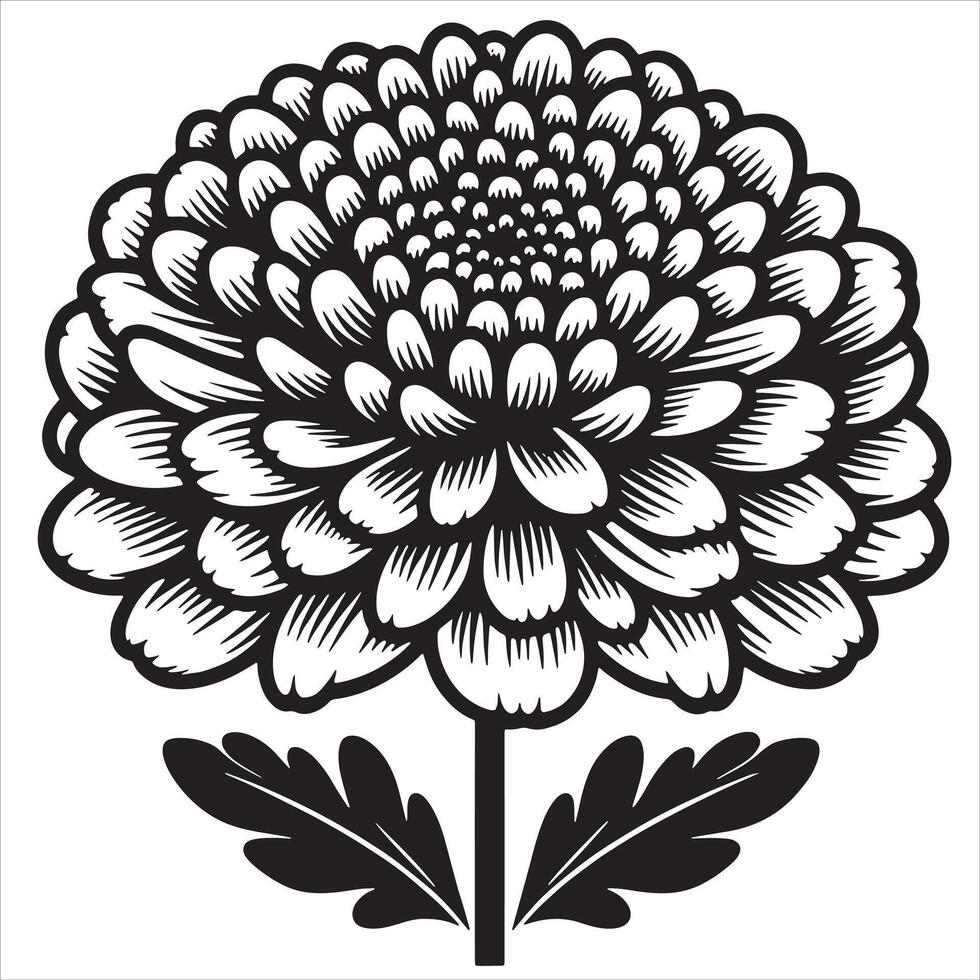 Chrysanthemum Heart Bloom vector