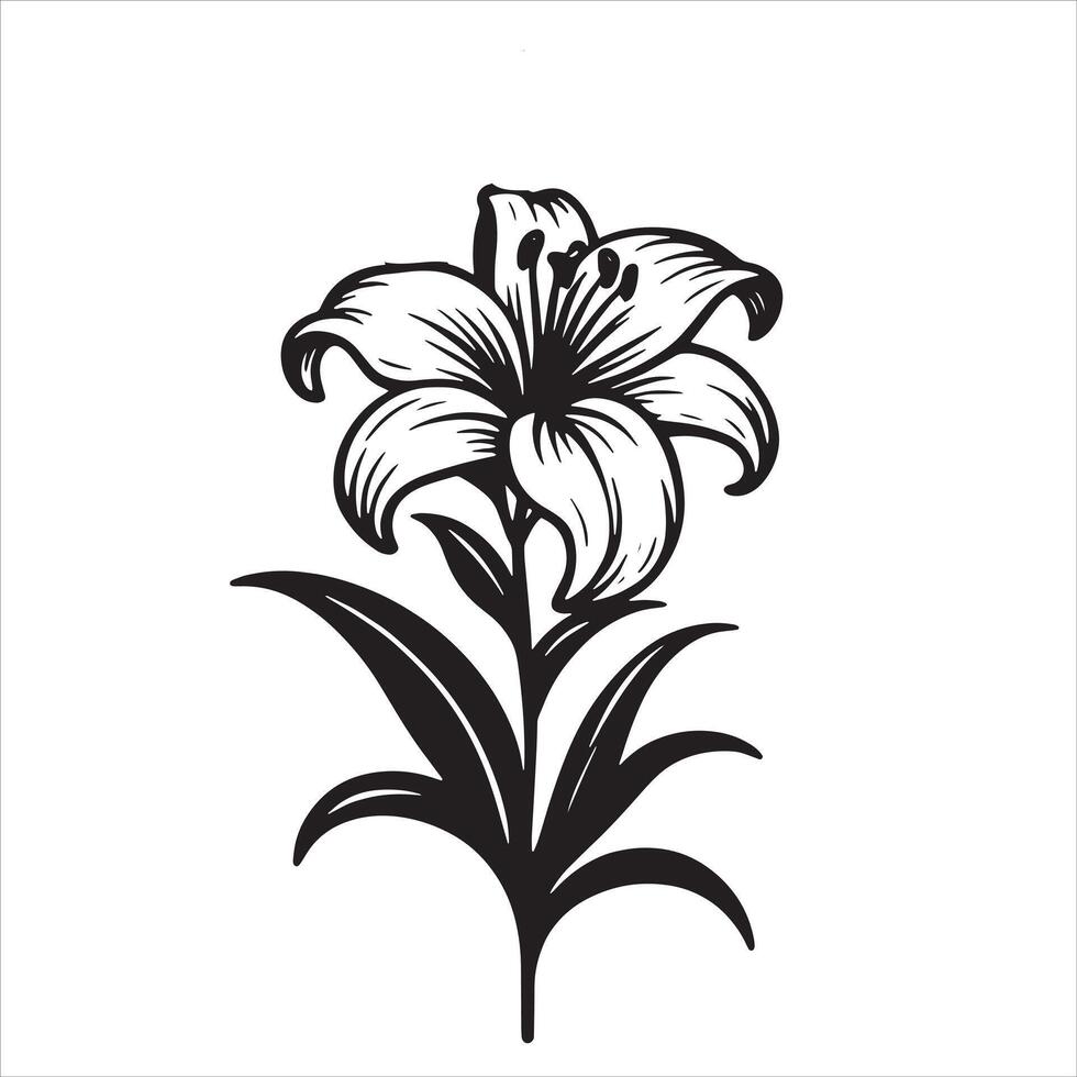 Abstract Lily Illustration vector