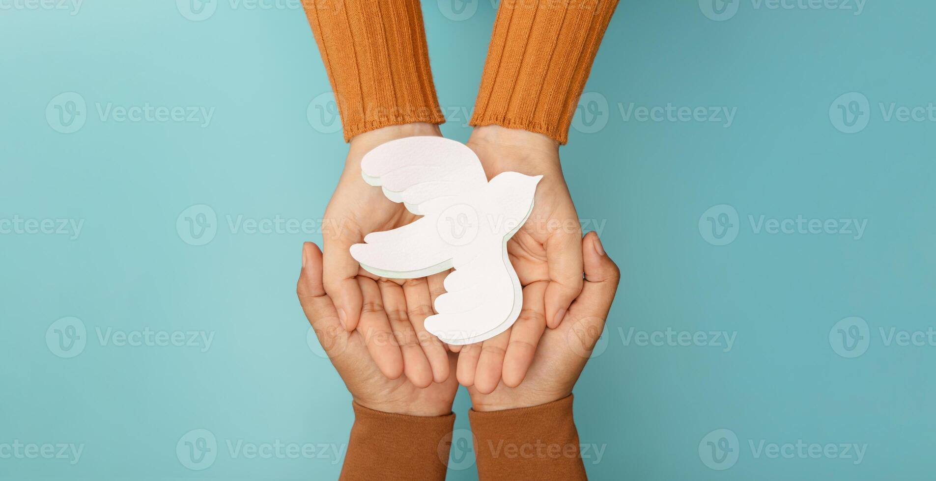 manos suavemente participación un blanco paloma simbolizando paz, armonía, humano derechos, y anti-violencia valores foto
