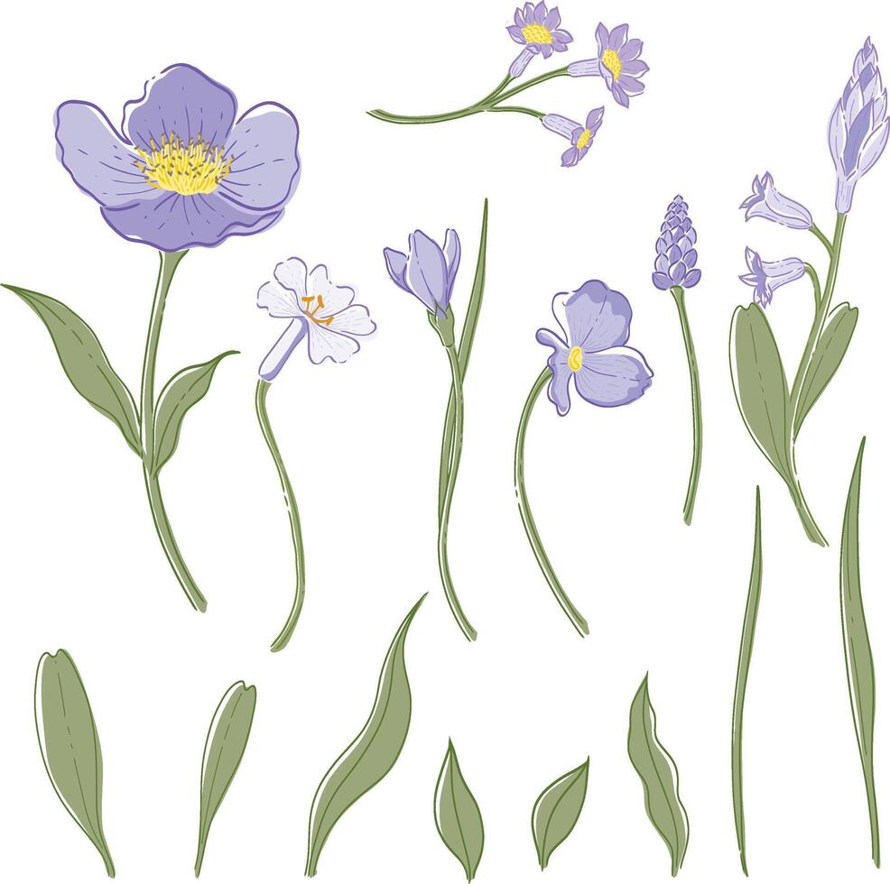 Purple Flower and Leaf Element Set Hand-drawn Botanical vector