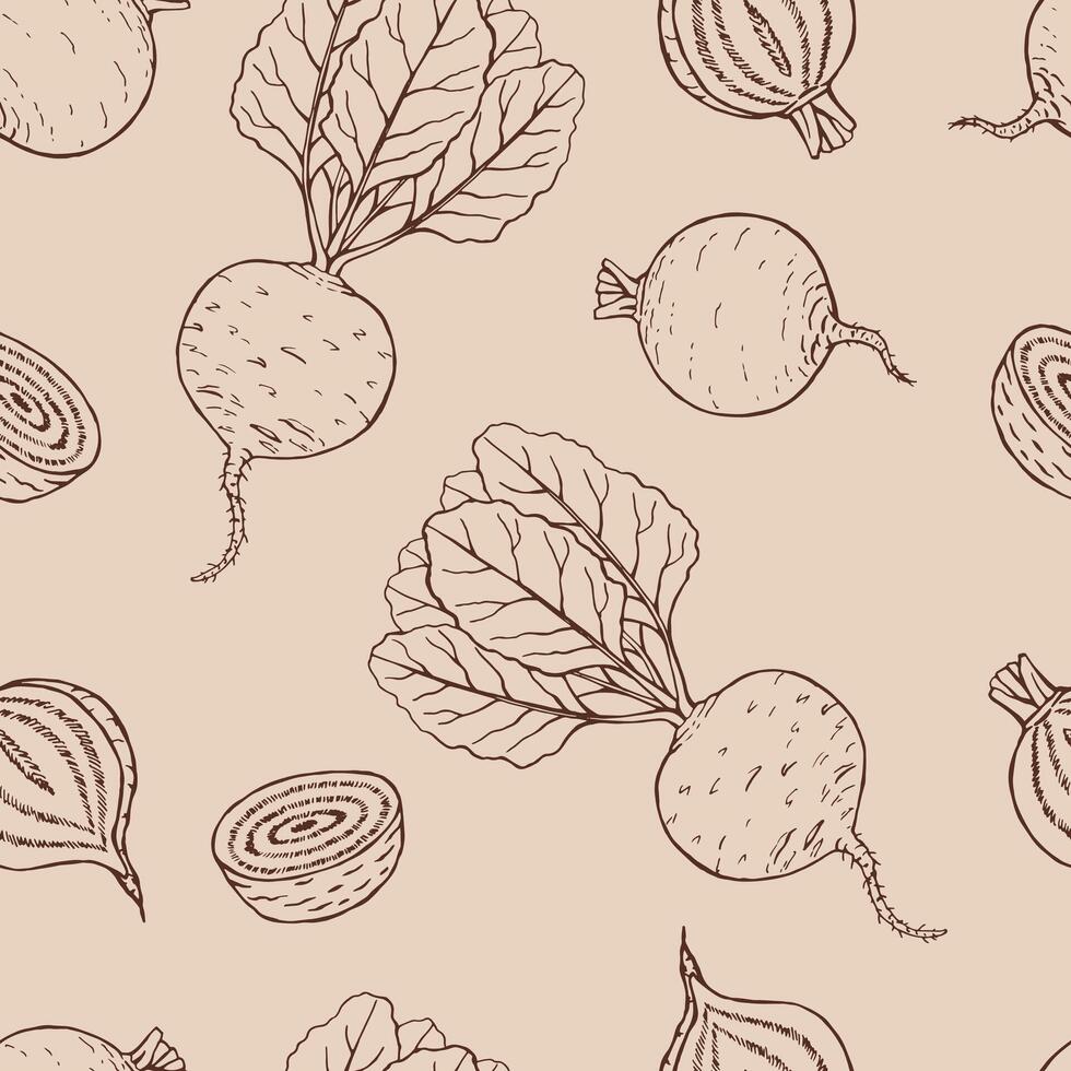 Seamless pattern beetroot. Hand drawn illustration. vector
