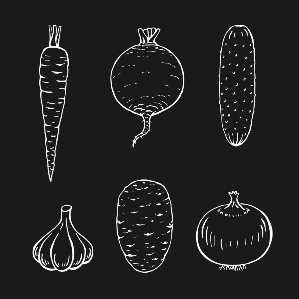 Set of vegetables Onion, potato, garlic, cucumber, carrot, beet. Hand drawn illustration. vector