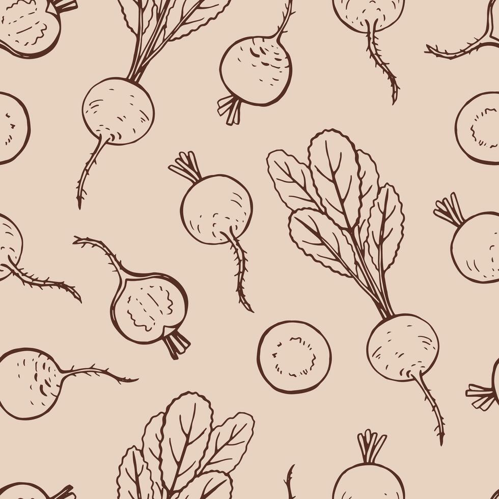 Seamless pattern with radish Hand drawn illustration. vector