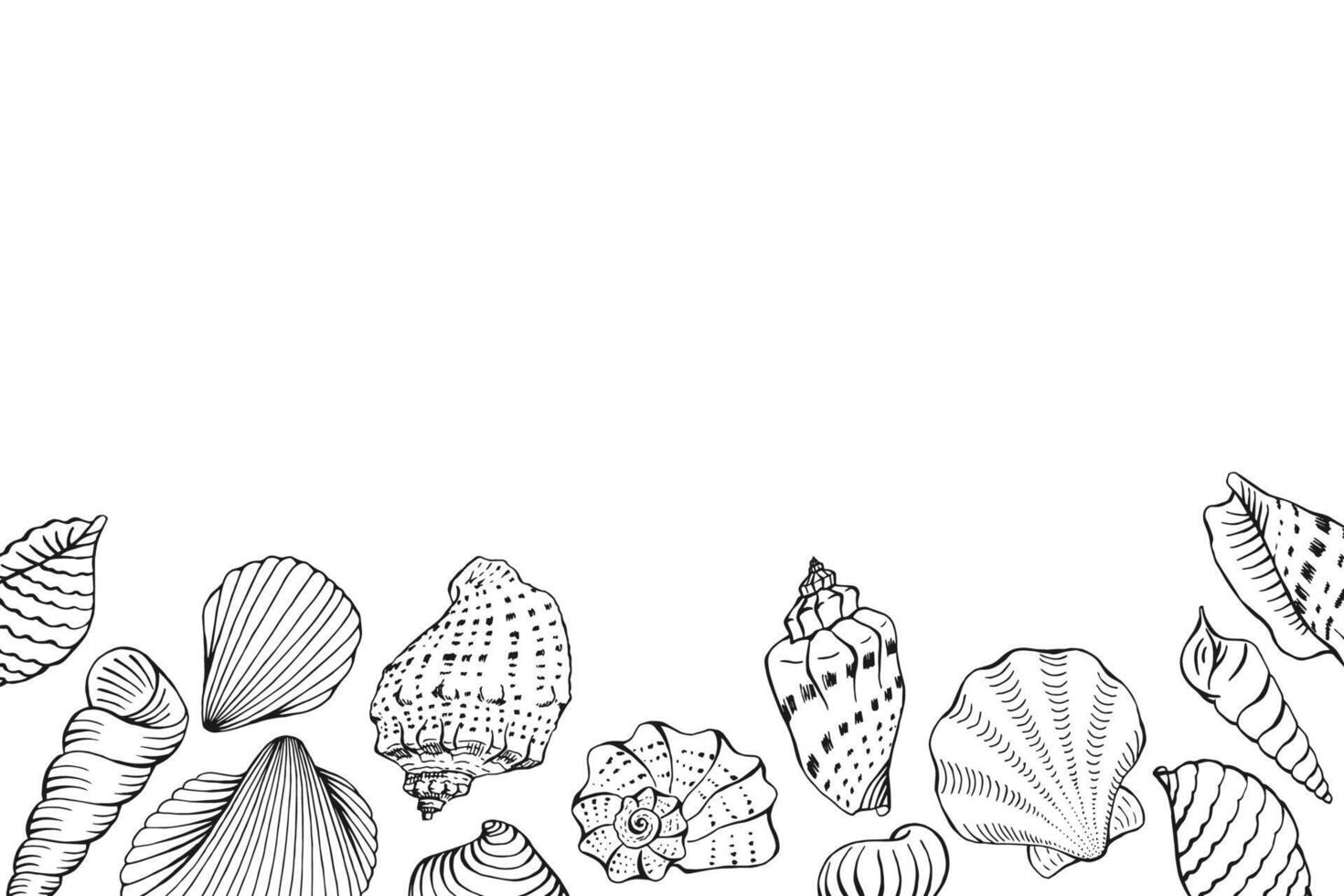 Frame with seashells with copy space. Hand drawn vector