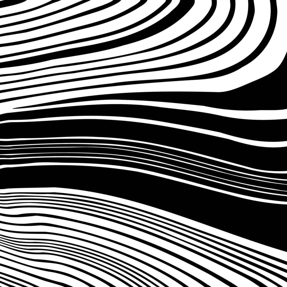 Abstract background with warped black and white striped pattern vector