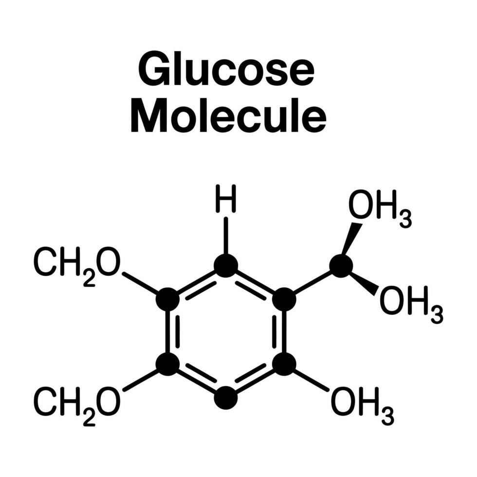 Detailed Chemical Structure of a Glucose Molecule Showing Atoms and Bonds Ideal for Educational and Scientific Purposes and Biology Resources White Background vector