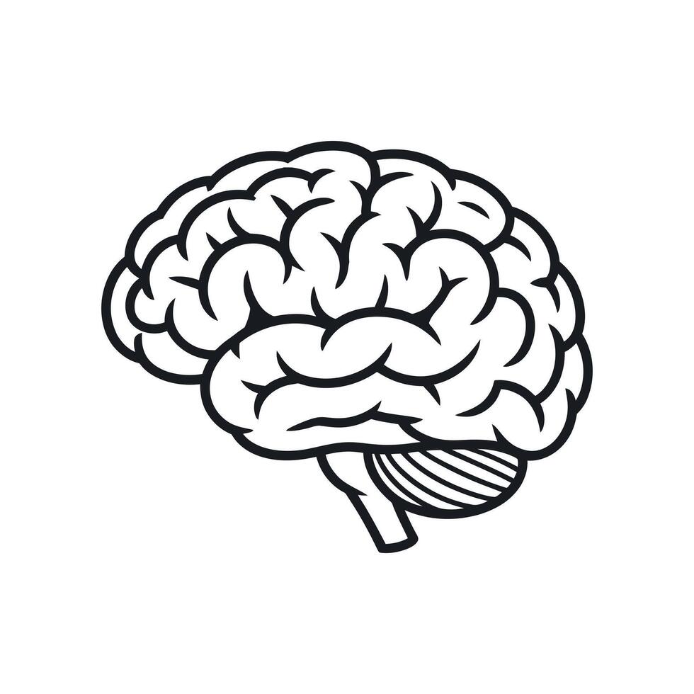 Human Brain Anatomy Illustration in Black and White Showing Lobes Cerebellum and Folds Representing Intelligence Thought and Neurological Science on a White Background vector