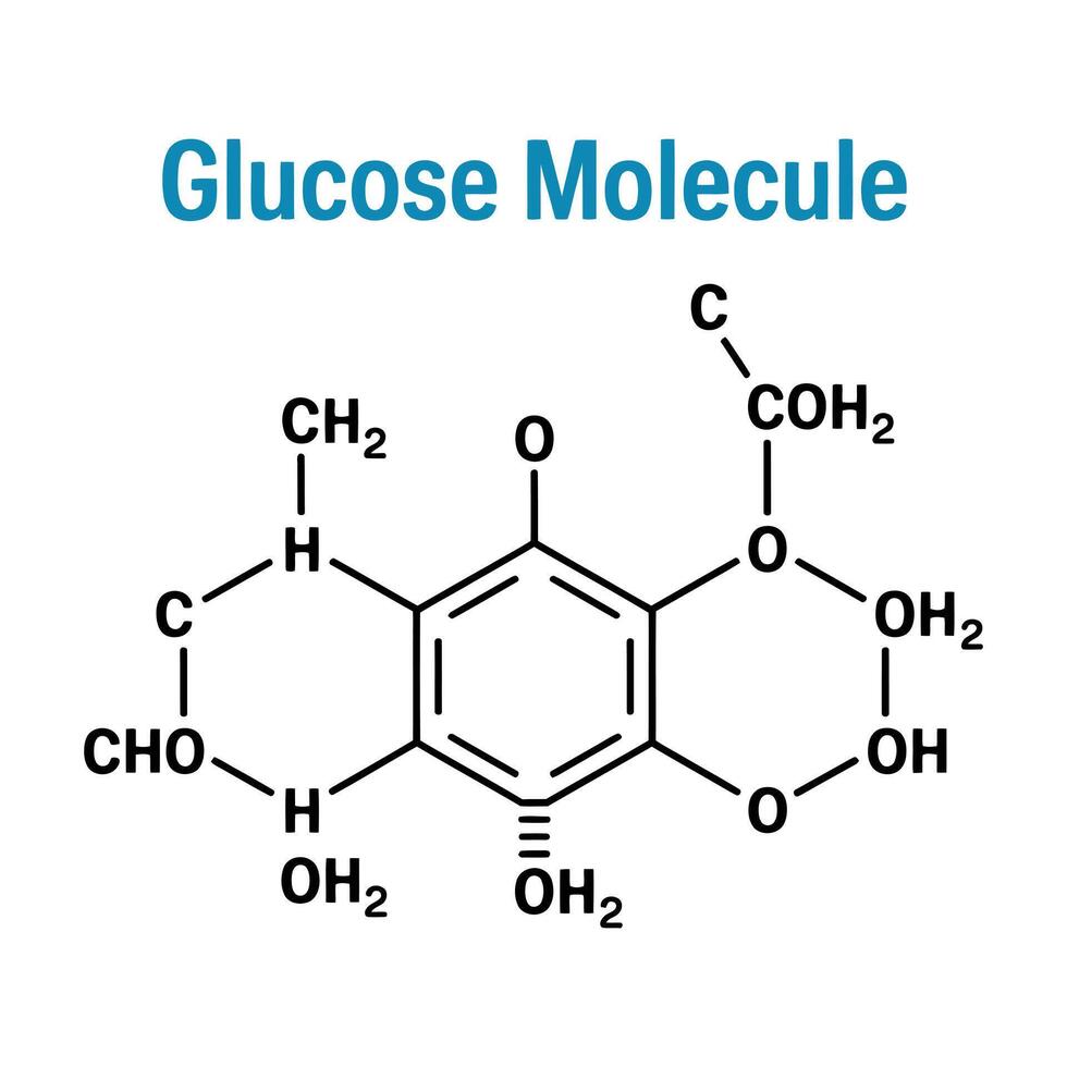 Detailed Chemical Structure of Glucose Molecule Showing Atoms and Bonds for Scientific and Educational Purposes Illustrating Organic Chemistry and Biochemistry Concepts Scientific Diagram vector